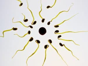 Motilidad de los espermatozoides