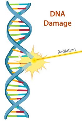 DNA damage