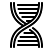 DNA Damage